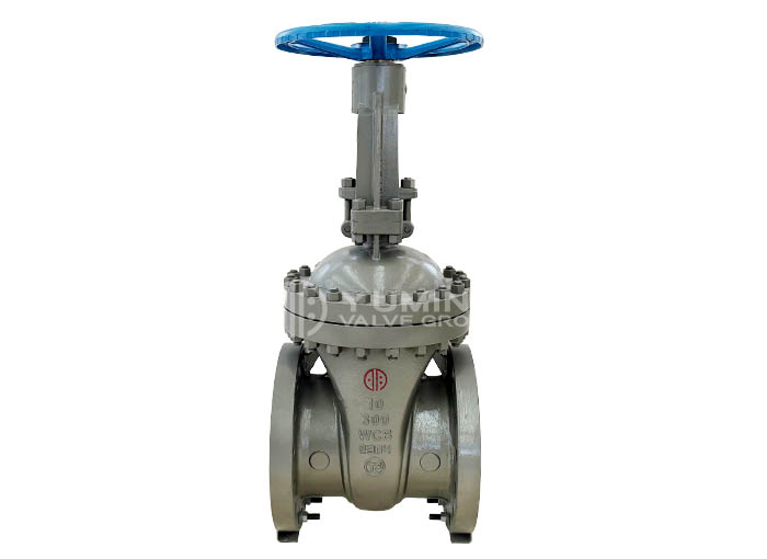 ANSI Gate Valve 